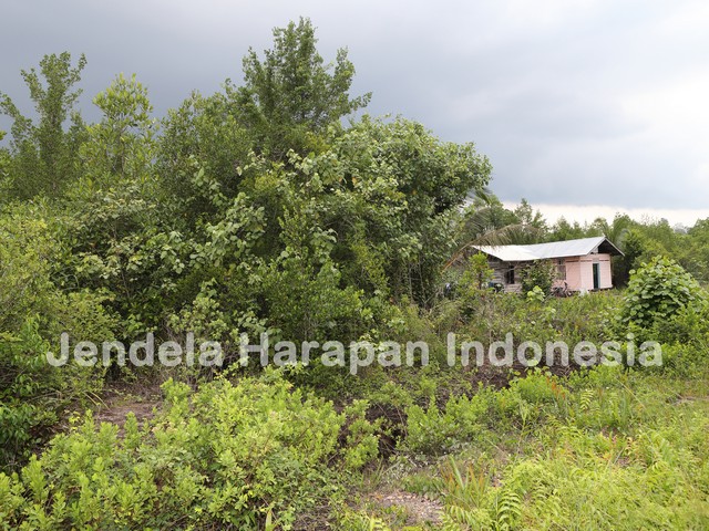 Tanah Runtuh, Pulau Rupat